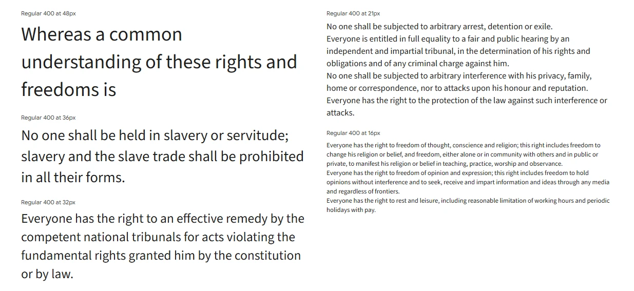 Adobe's first open-source font, Source Sans 3, was created by Paul D. Hunt and remains a top professional choice in Google Fonts. It’s made for user interfaces and easy reading on screens.