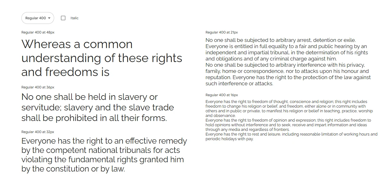 Raleway, a display sans-serif font by Matt McInerney, is both stylish and attention-grabbing. It was created for headlines and titles due to its modern, clean, high-end feel with thin, high-contrast styling.